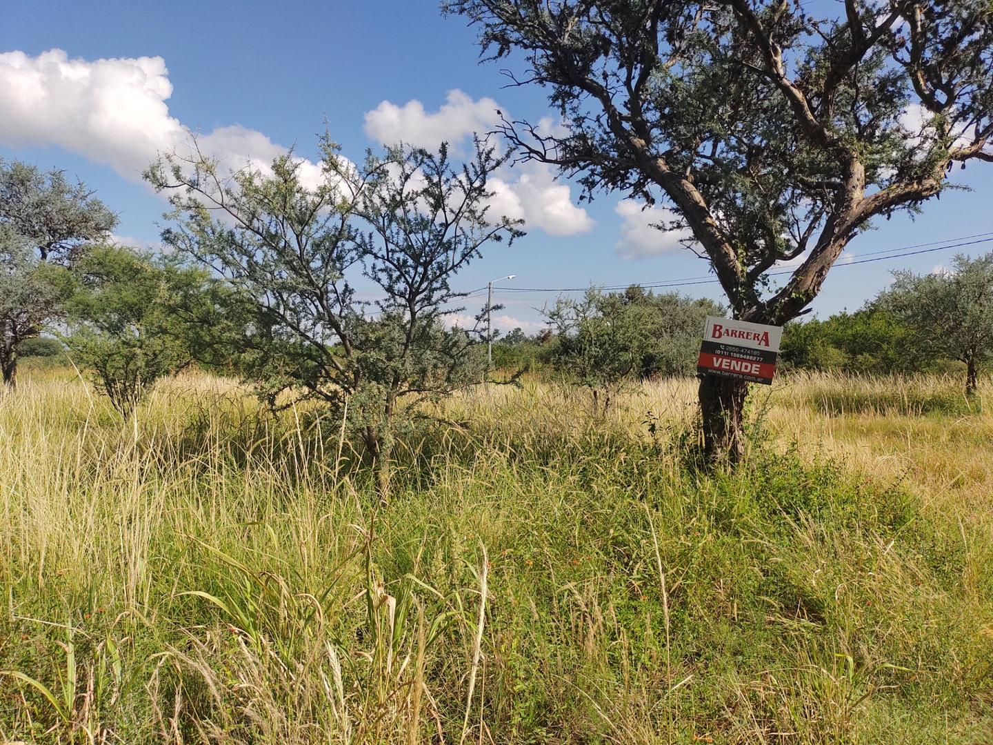 Terreno Venta - Golden Hill Sin Nombre S/N - imagen 3