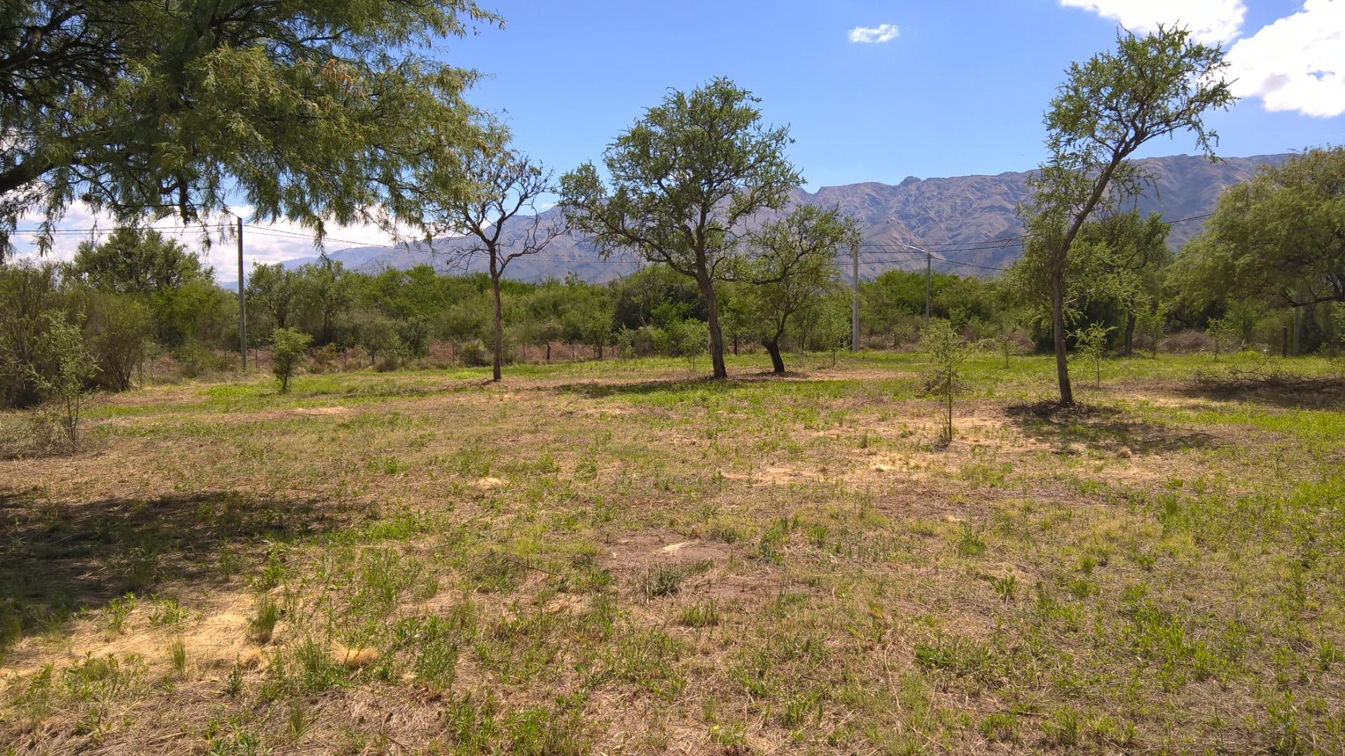 Terreno Venta - Golden Hill Sin Nombre S/N - imagen 11