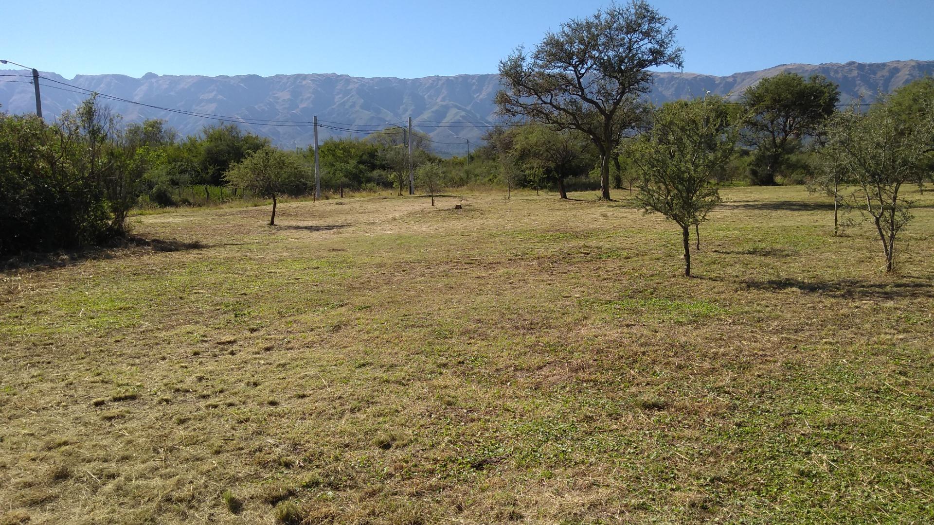Terreno Venta - Golden Hill Sin Nombre S/N - imagen 13