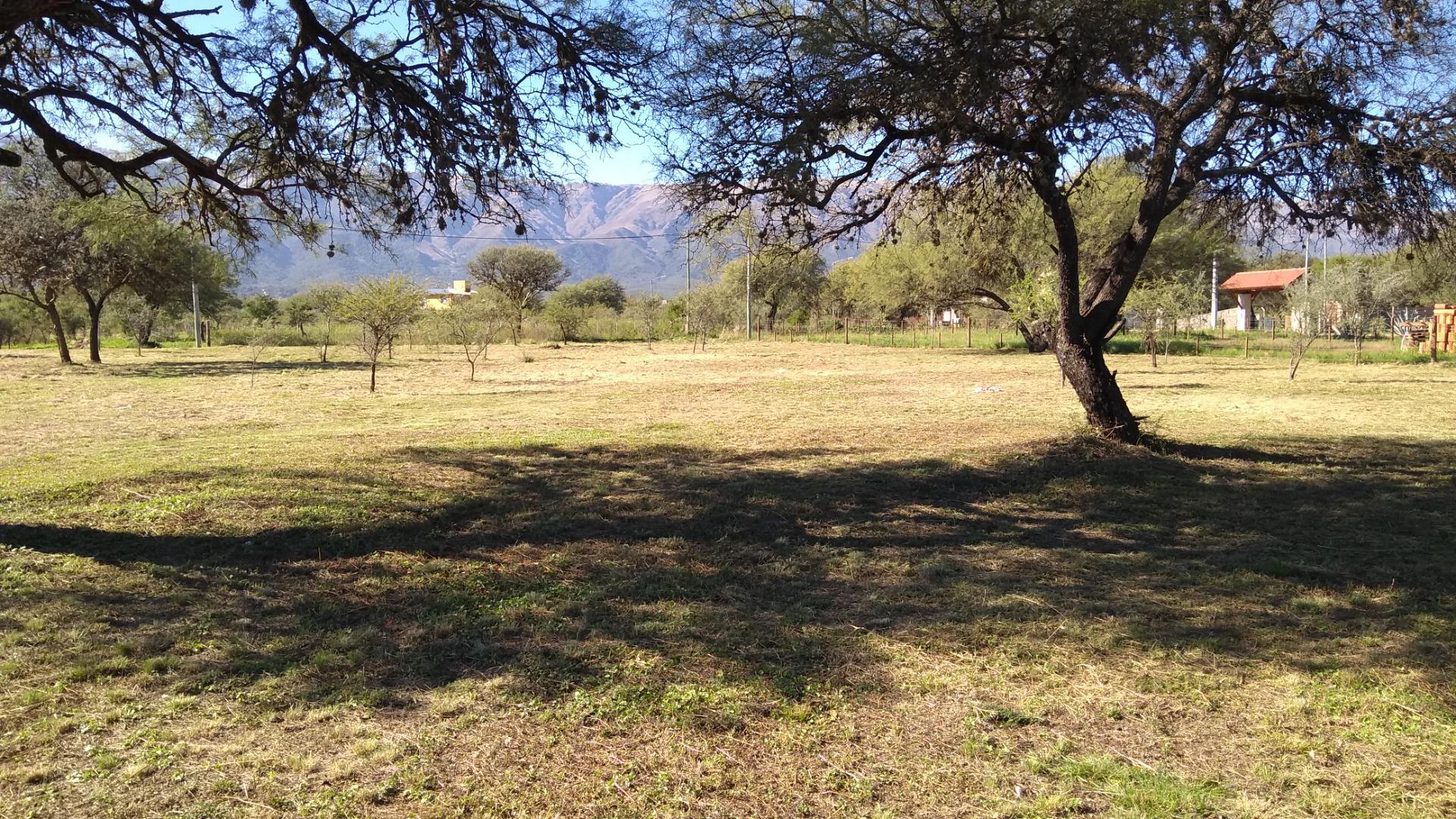 Terreno Venta - Golden Hill Sin Nombre S/N - imagen 14