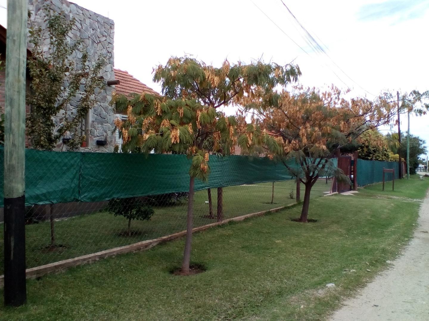 Av. Las Tres Marias S/N - imagen 4