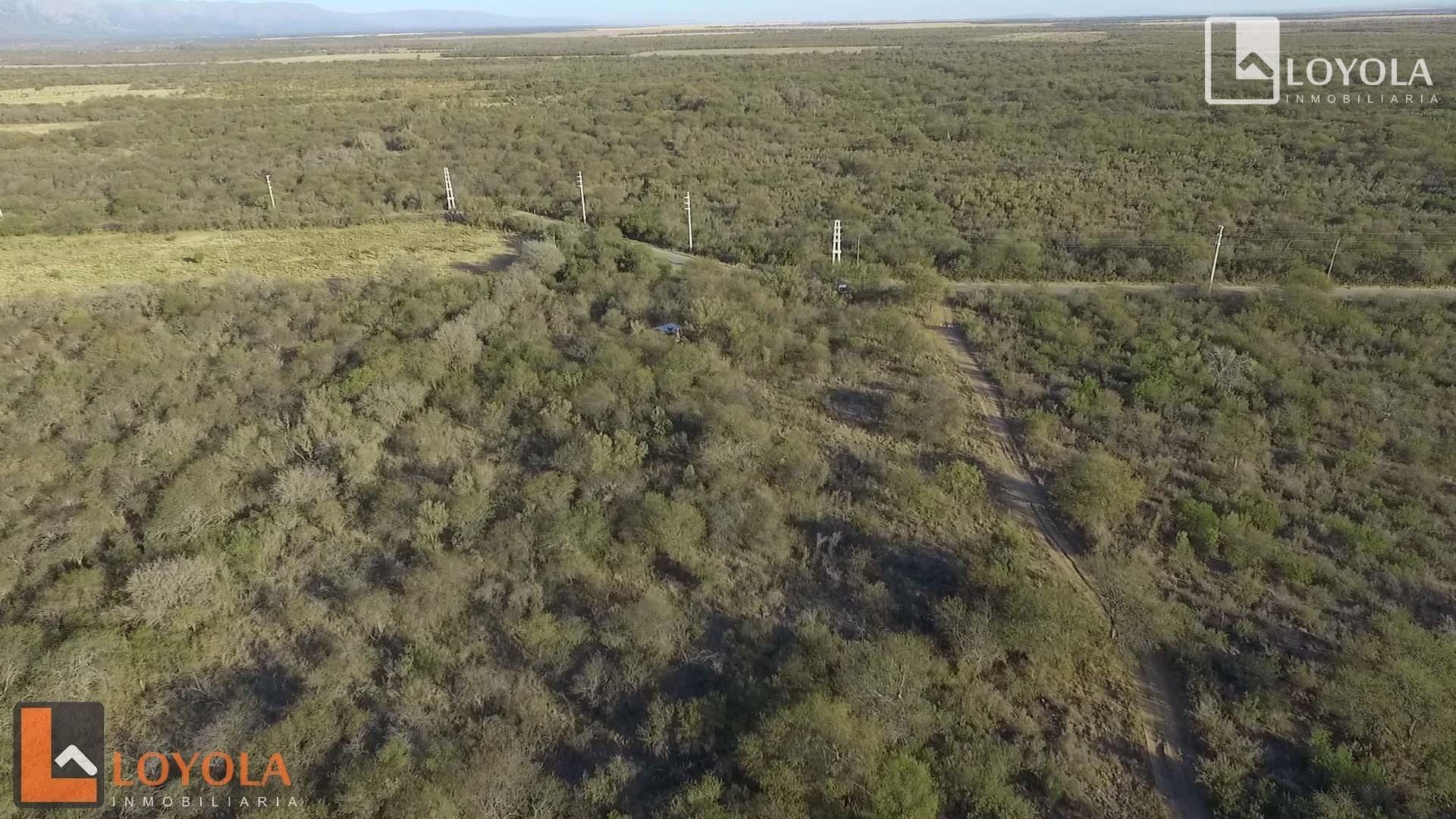 Ruta 28 ( Colonia Argentina) S/N - imagen 12