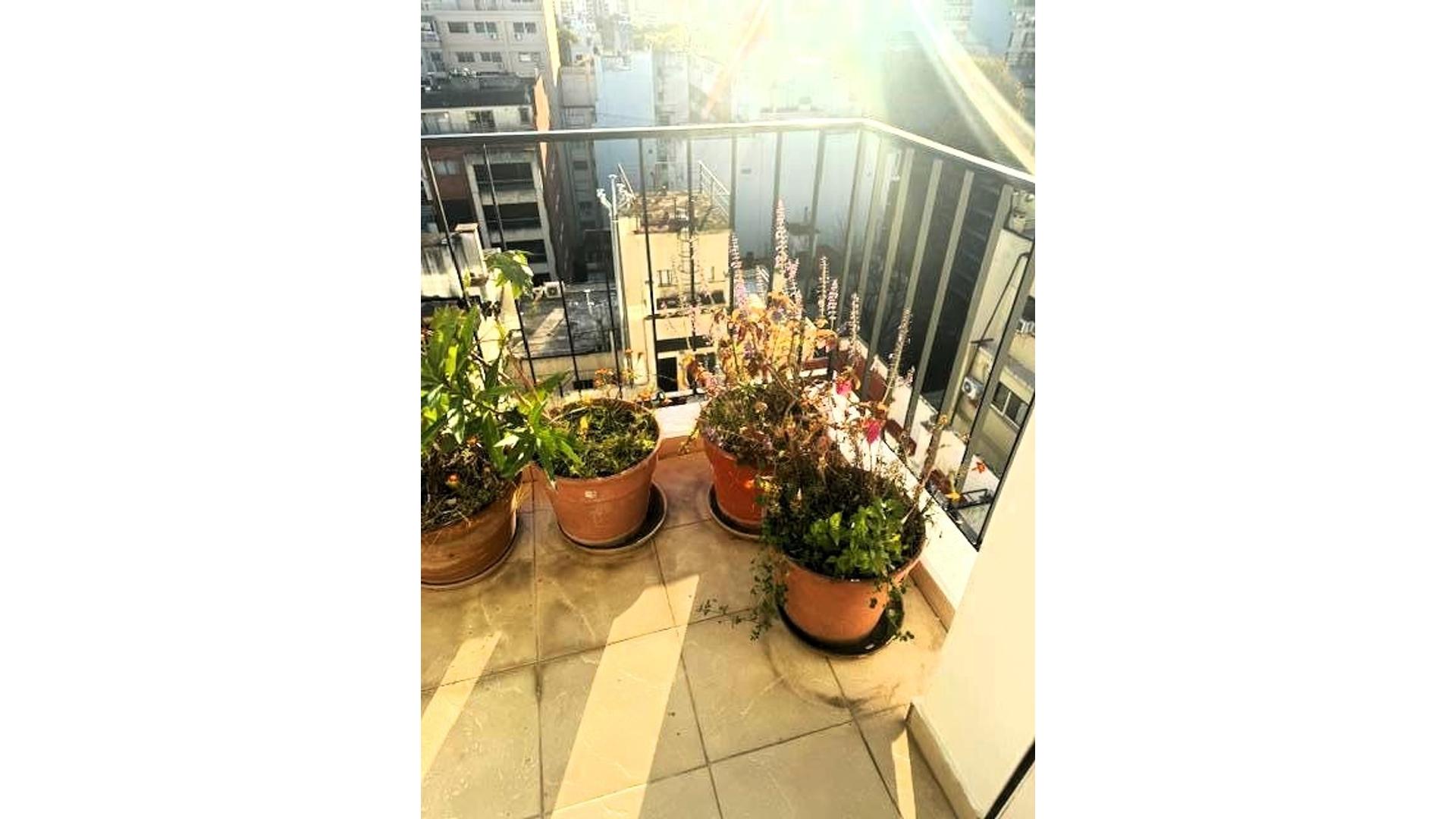 Departamento Belgrano3