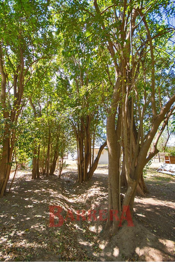Local Venta - A. Norte al 1700 - imagen 26