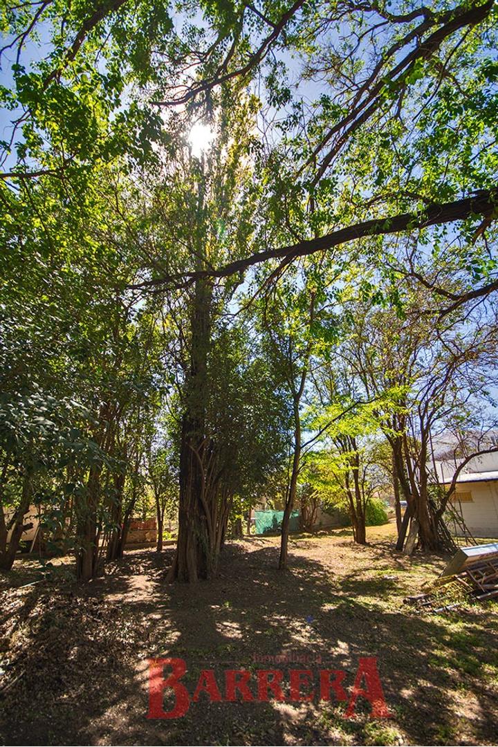 Local Venta - A. Norte al 1700 - imagen 24
