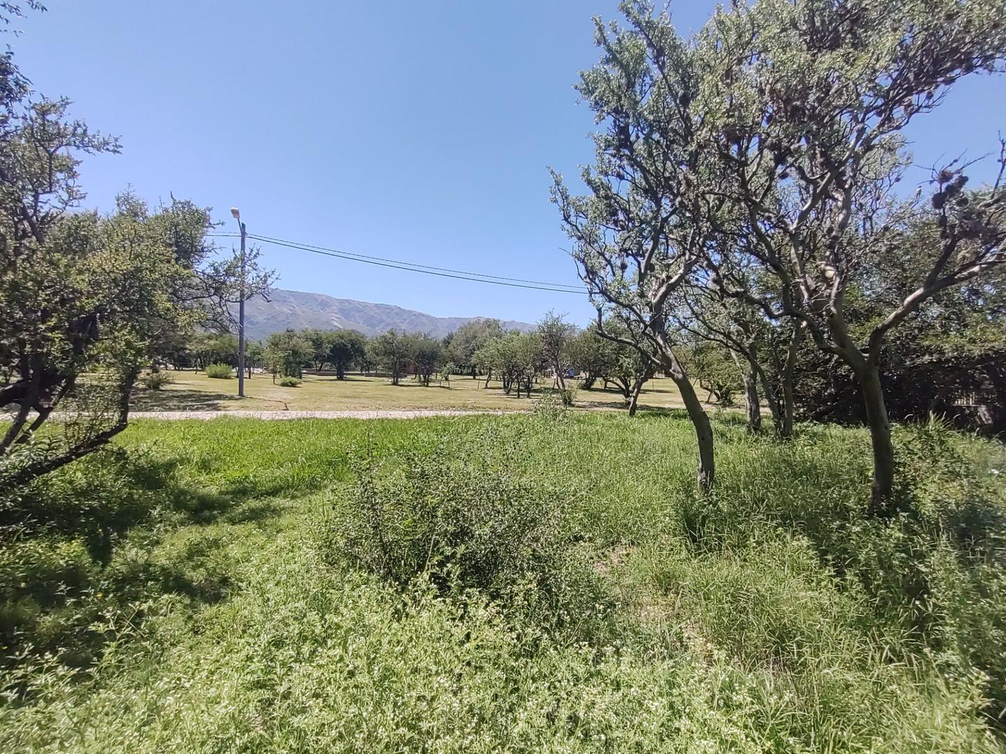Terreno Venta - Las Artes S/N - imagen 4