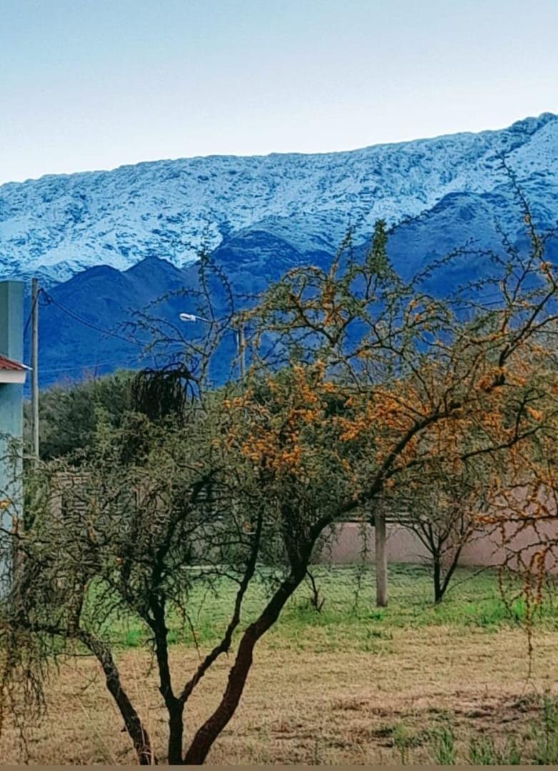 Terreno Venta - Las Ciencias S/N - imagen 4