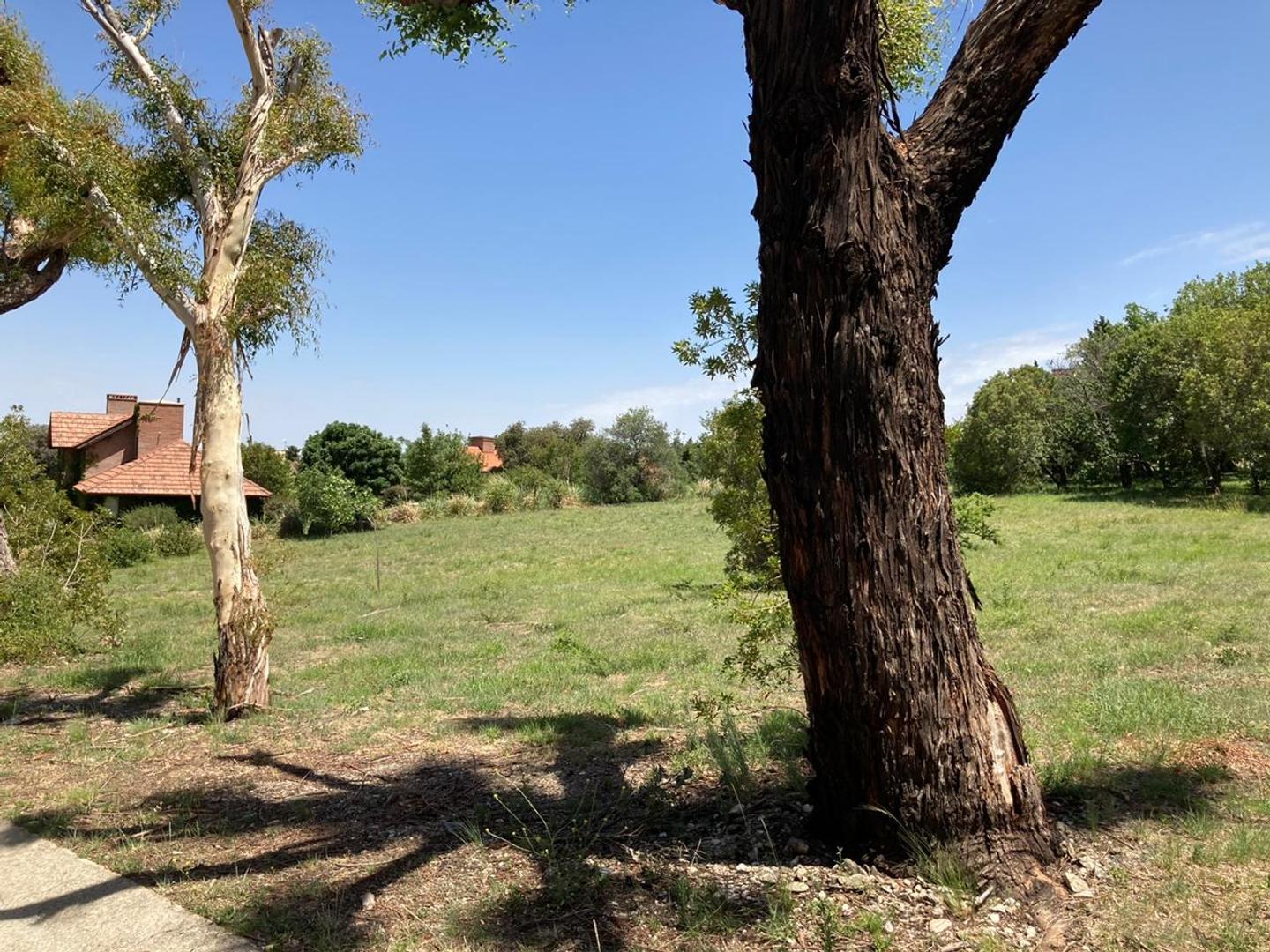 Terreno Venta - Bv. De Los Indios al 0