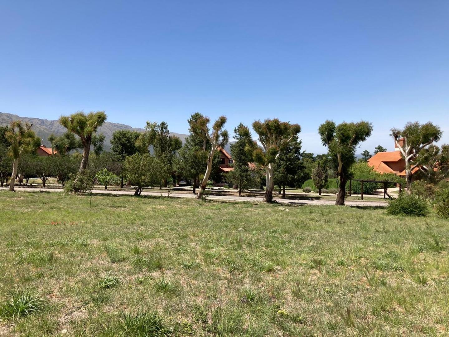Terreno Venta - Bv. De Los Indios al 0 - imagen 5