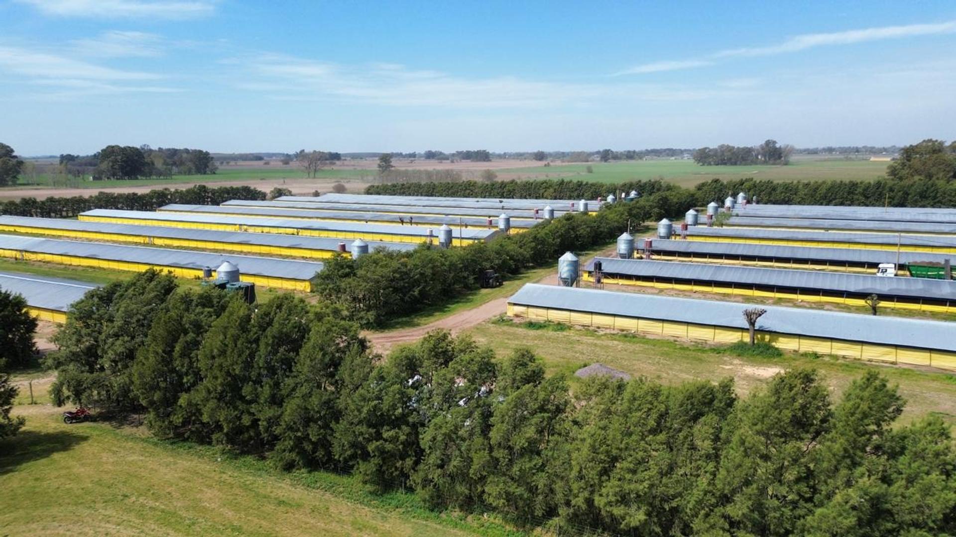 Consultar dirección – USD3.500.000 – Campo – en Venta