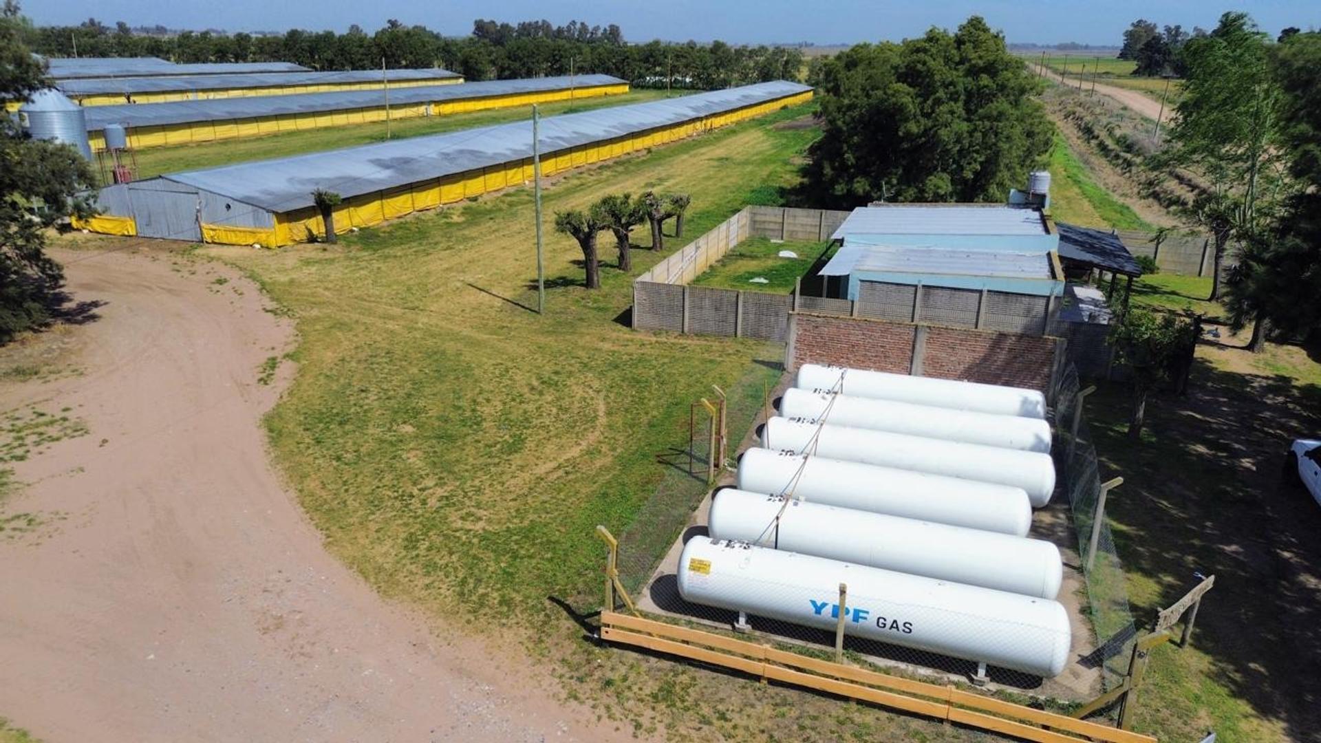 Consultar dirección – USD3.500.000 – Campo – en Venta