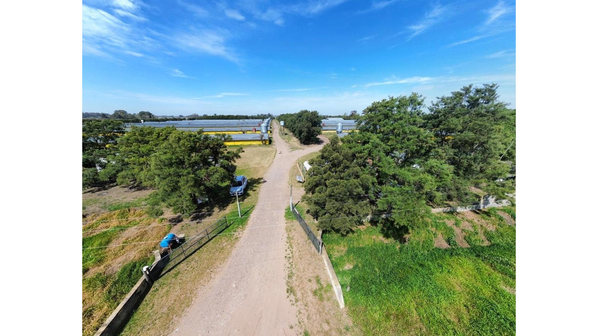 Consultar dirección – USD3.500.000 – Campo – en Venta