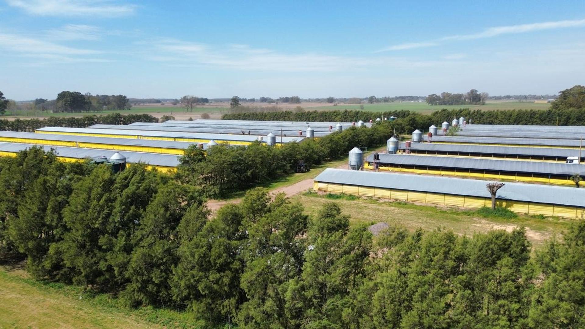 Consultar dirección – USD3.500.000 – Campo – en Venta