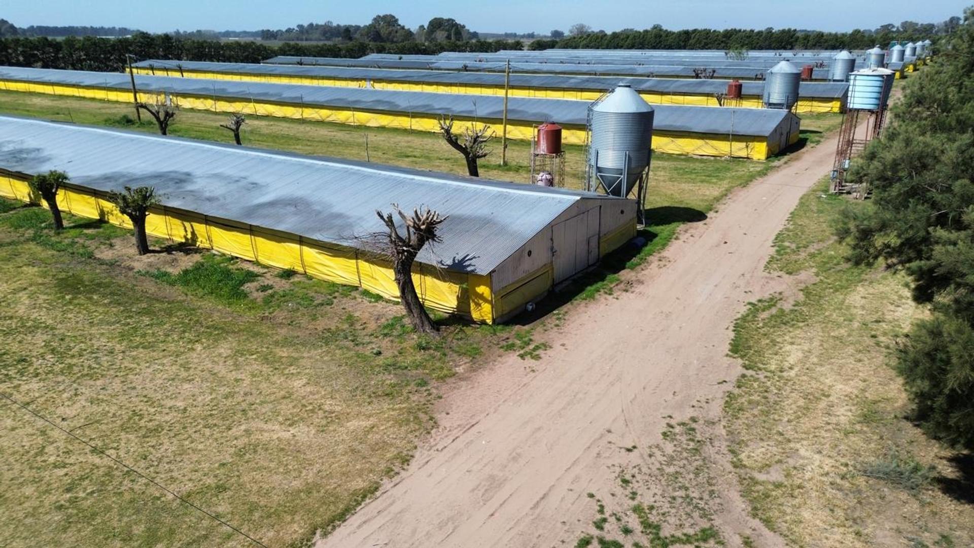 Consultar dirección – USD3.500.000 – Campo – en Venta