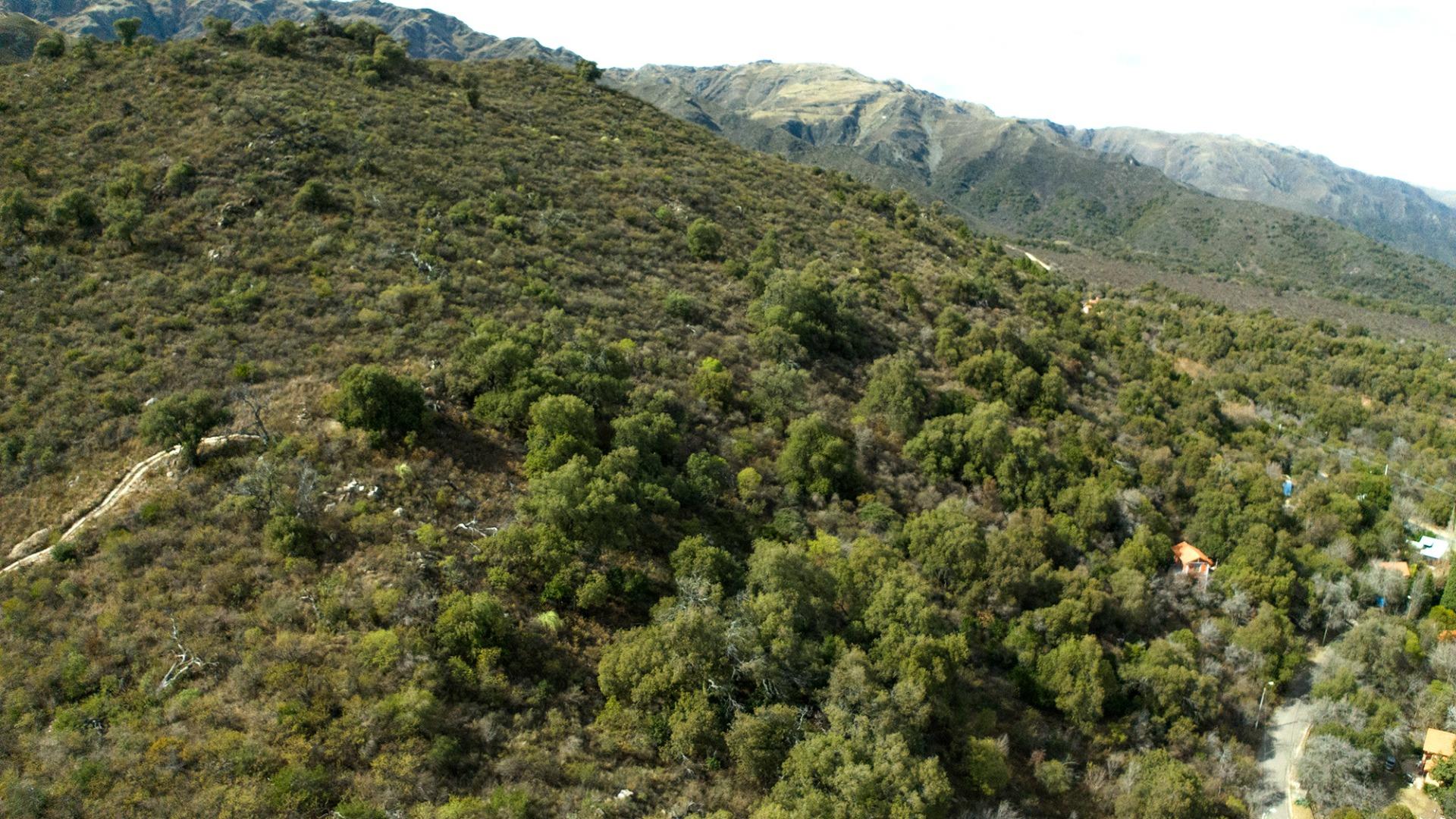 Terreno Venta - Inti Raymi al 0 - imagen 6
