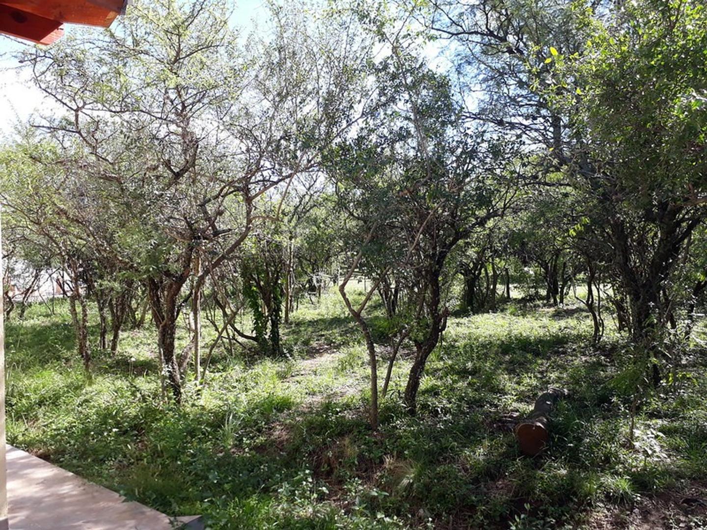 Chacho Peñaloza Y Cañada De Los Zainos S/N - imagen 12